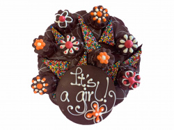 It is a Girl! or It is a Boy!